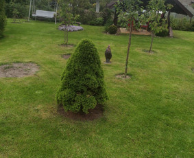 Žolės Pjovimas Su Trimeriu Ir Žoliapjove / Mindaugas / Darbų pavyzdys ID 3936612