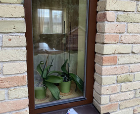 Visos pagalbinės paslaugos / Marius / Darbų pavyzdys ID 3936816