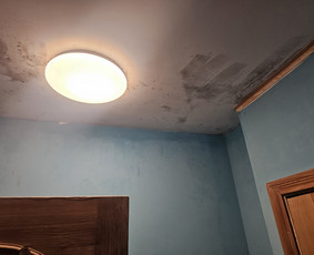 Pelėsio ir grybų naikinimas / MB Molderis / Darbų pavyzdys ID 3937138