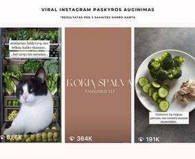 Paslaugos verslui - Socialinių tinklų kūrimas, turinys ir administravimas - 4