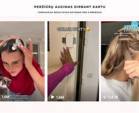 Socialinių tinklų kūrimas, turinys ir administravimas / Karolina Nikolaityte / Darbų pavyzdys ID 3937242