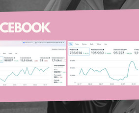 Rinkodara (marketingas) - Socialinių tinklų kūrimas, turinys ir administravimas - 4
