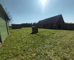 Tvarkingi Sklypai Panevėžyje / Egidijus Ablėnas / Darbų pavyzdys ID 3937420