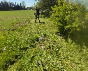 Tvarkingi Sklypai Panevėžyje / Egidijus Ablėnas / Darbų pavyzdys ID 3937424