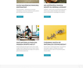 Internetinių svetainių kūrimas - verslo augimui! - El. parduotuvių kūrimas - 2 El. parduotuvių kūrimas - Internetinių svetainių kūrimas - verslo augimui! - 2