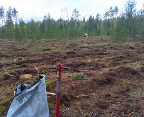 Miškų administravimas. Miškotvarkos projektai,biržių rėžimas - Miškininkai - 4 Miškininkai - Miškų administravimas. Miškotvarkos projektai,biržių rėžimas - 4