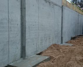 Projektų valdymas / tech. priežiūra / užbaigimas / sąmatos / Vytenis B. / Darbų pavyzdys ID 3938708