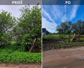 Aplinkos priežiūros darbai, žolės pjovimas, sniego valymas / Ingridas Kazlauskas / Darbų pavyzdys ID 3939434