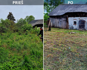 Aplinkos priežiūros darbai, žolės pjovimas, sniego valymas / Ingridas Kazlauskas / Darbų pavyzdys ID 3939436
