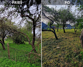 Aplinkos priežiūros darbai, žolės pjovimas - Apleistų sklypų tvarkymas - 2 Apleistų sklypų tvarkymas - Aplinkos priežiūros darbai, žolės pjovimas - 2
