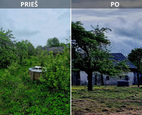 Aplinkos priežiūros darbai, žolės pjovimas, sniego valymas / Ingridas Kazlauskas / Darbų pavyzdys ID 3939444