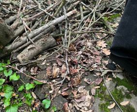 Baldų ir šiukšlių išvežimas už mažiausią kainą! - Šiukšlių išvežimas: statybinių ir kt. - 4 Šiukšlių išvežimas: statybinių ir kt. - Baldų ir šiukšlių išvežimas už mažiausią kainą! - 4