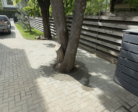 Trinkelių klojimas, aplinkos tvarkymas, laiptu betonavimas - Aplinka, sodas - 3 Aplinka, sodas - Trinkelių klojimas, aplinkos tvarkymas, laiptu betonavimas - 3
