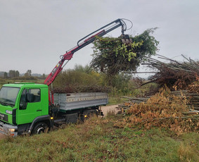 Sijotas juodžemis, augalinis gruntas / Birios statybinės medžiagos / Darbų pavyzdys ID 3940858