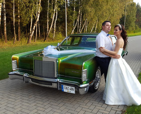 Sodybos Pirties Kubilo Nuoma sodyba nuomai poilsiui šventėms / Vytautas / Darbų pavyzdys ID 3940908