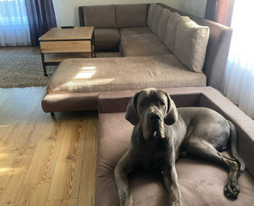 Minkštų Baldų Pervilkimas / KatuotasBatinas / Darbų pavyzdys ID 3941218