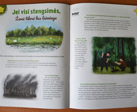 Dailininkė, iliustratorė, grafikos dizainerė Kaune / Rūta / Darbų pavyzdys ID 3941968