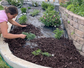 Atlieku apželdinimo darbus - Kraštovaizdžio projektavimas - 2 Kraštovaizdžio projektavimas - Atlieku apželdinimo darbus - 2