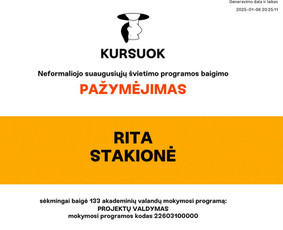 Paslaugos verslui - Virtuali asistentė verslui - 3