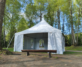 Renginių palapinės ir įrangos nuoma / Tentis.lt / Darbų pavyzdys ID 3942798