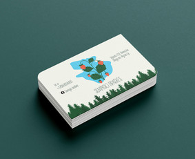 Logotipų kūrimas - Plakatų, banerių, lankstinukų, animacijų, kūrimas - 4