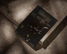 Plakatų, banerių, lankstinukų, animacijų, kūrimas / Deimantė / Darbų pavyzdys ID 3943200