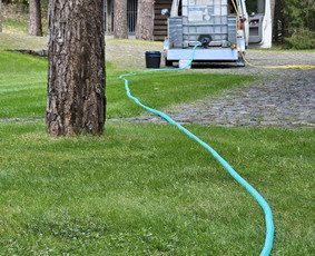 Arboristų paslaugos - medžių genėjimas, pjovimas / MB BALTA LAJA / Darbų pavyzdys ID 3944164