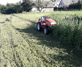 Zoles pjovimas, zemes frezavimas, kelmu salinimas / Mb Žolva / Darbų pavyzdys ID 3944888