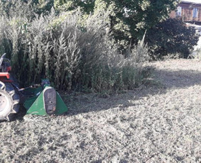 Zoles pjovimas, zemes frezavimas, kelmu salinimas / Mb Žolva / Darbų pavyzdys ID 3944890