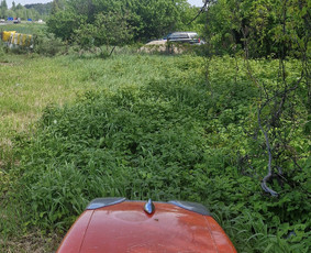 Zoles pjovimas, zemes frezavimas, kelmu salinimas / Mb Žolva / Darbų pavyzdys ID 3944878
