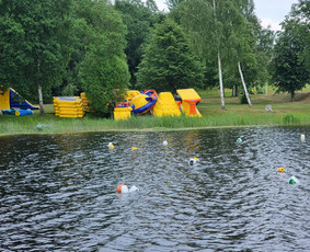 Povandeninė paieška, narų paslaugos / Ignas Ežerinskis / Darbų pavyzdys ID 3945422