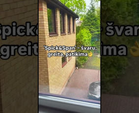 Profesionalus Valymas Jūsų Patogumui S&s / Spick&Span / Darbų pavyzdys ID 3945588