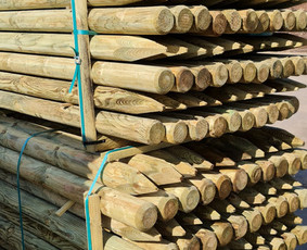 Statybos, apdaila - Mediniai tekinti ir žievinti kuolai impregnuoti - 4