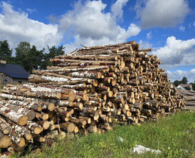 Malkos: gamyba, pristatymas - Beržas 40 &euro;* malkos (дрова) rąstais,rasteliais - 4