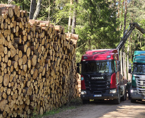 Malkos: gamyba, pristatymas - Beržas 40 &euro;* malkos (дрова) rąstais,rasteliais - 3