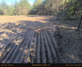 Apleistų sklypų tvarkymas - Kasimo darbai - 1