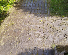 Stogų, fasadų, plovimas, ventiliacija, aukštalipiai / Arūnas / Darbų pavyzdys ID 3947302