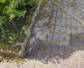 Stogų, fasadų, plovimas, ventiliacija, aukštalipiai / Arūnas / Darbų pavyzdys ID 3947308