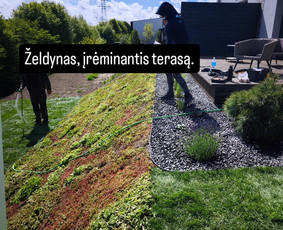 Visos apželdinimo paslaugos nuo idėjos iki realizavimo - Aplinkos tvarkymas, apželdinimas - 3 Aplinkos tvarkymas, apželdinimas - Visos apželdinimo paslaugos nuo idėjos iki realizavimo - 3