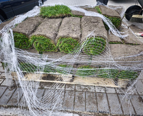 Visos apželdinimo paslaugos nuo idėjos iki realizavimo - Aplinkos tvarkymas, apželdinimas - 2 Aplinkos tvarkymas, apželdinimas - Visos apželdinimo paslaugos nuo idėjos iki realizavimo - 2