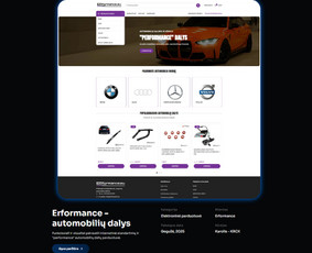 Programavimas su WordPress - Profesionalus svetainių ir el. parduotuvių kūrimas - Krcx - 2