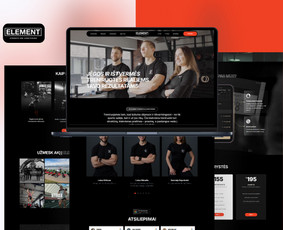 Svetainių dizainas (web design) - Internetinių svetainių ir el. parduotuvių kūrimas - 4