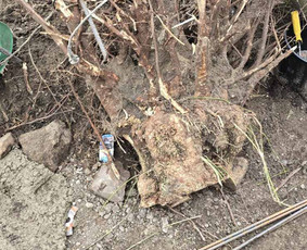 Pigiausias atliekų, šiukšlių išvežimas perkraustymo griovimo / Siuksliu isvezimas Griovimo darbai / Darbų pavyzdys ID 3948338