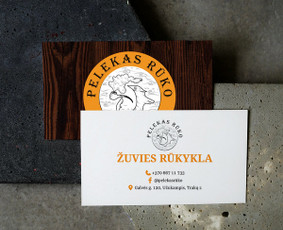 Grafinis dizainas, maketavimas, logotipai, iliustracijos / Julija Fokina / Darbų pavyzdys ID 3948772