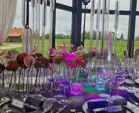 Vestuvių planavimas, organizavimas - Vestuvių planavimas, koordinavimas, - 4
