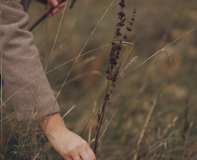Fotografė Egle Mi - Šventės, verslo, asmeninės fotosesijos / Egle Mi / Darbų pavyzdys ID 3952156