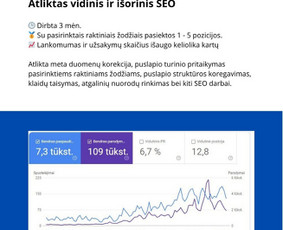 Vidinis, techninis, išorinis Seo. Google Ads - SEO paslaugos - 2 SEO paslaugos - Vidinis, techninis, išorinis Seo. Google Ads - 2
