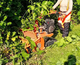 Aukštos žolės pjovimas, smulkinimas. - Vejos priežiūra, įrengimas - 3 Vejos priežiūra, įrengimas - Aukštos žolės pjovimas, smulkinimas. - 3