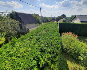 Aplinkos Ir Apleistų Teritorijų Tvarkymas Ir Priežiūra: / Ivanas ,,Flora Art'' / Darbų pavyzdys ID 3954064