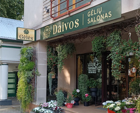 Grafinis dizainas / Agnė Riksaitė / Darbų pavyzdys ID 3954352